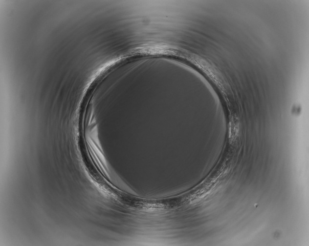 X0000099300438200805161352