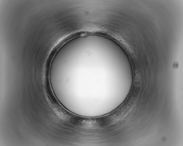 X0000099300440200805161352