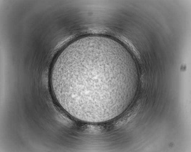 X0000099300442200805161352