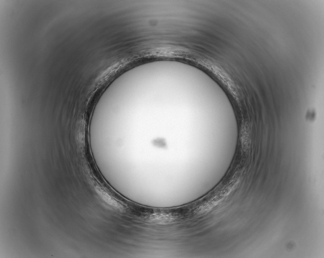 X0000099300445200805161352