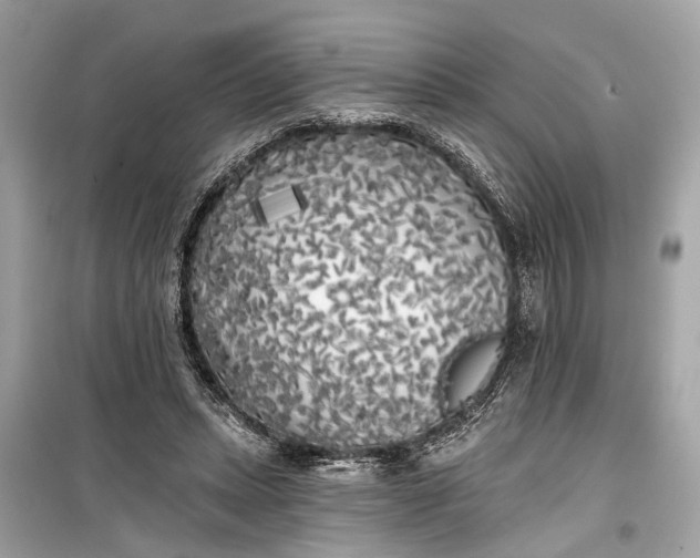 X0000099300447200805161353