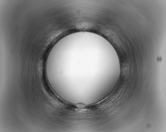 X0000099300448200805161353