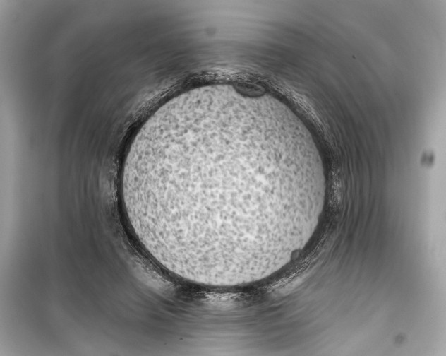 X0000099300450200805161353