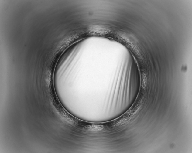 X0000099300451200805161353