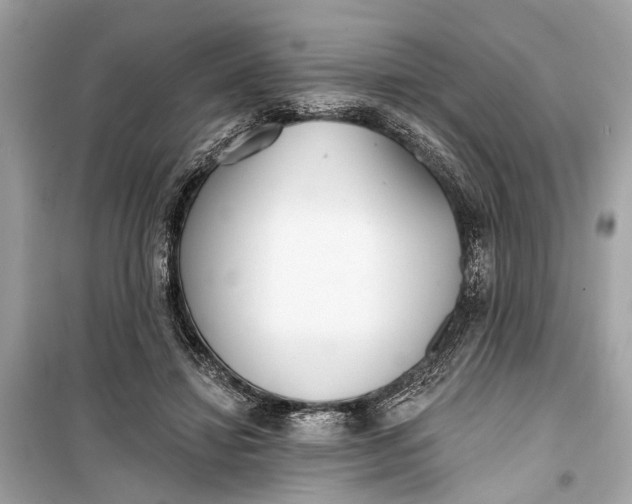 X0000099300452200805161353