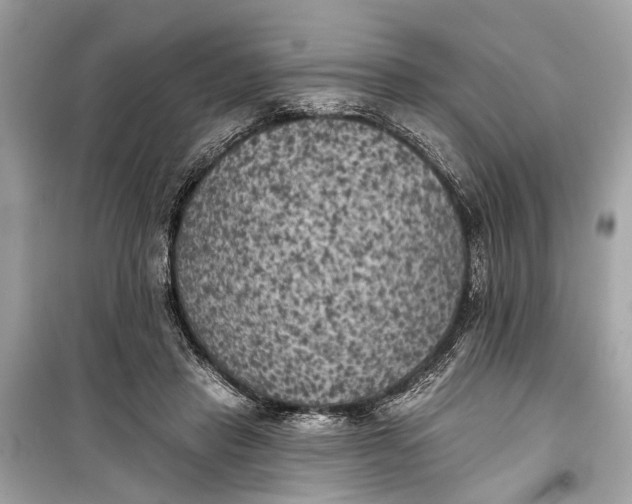 X0000099300453200805161353