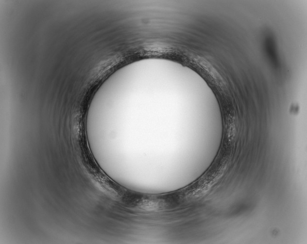 X0000099300455200805161353