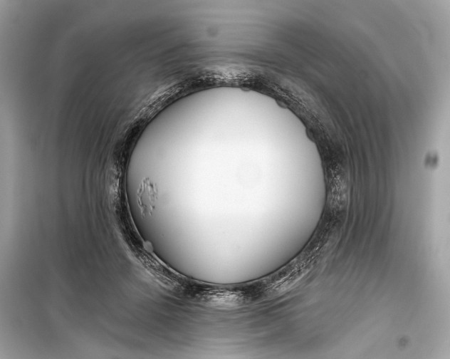 X0000099300456200805161353