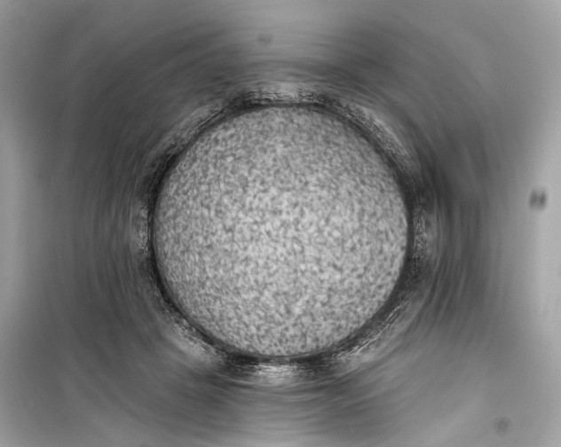 X0000099300457200805161353