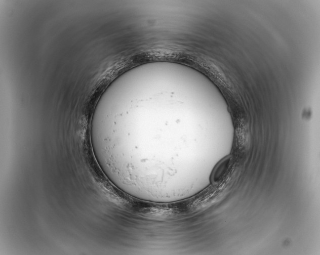 X0000099300458200805161353