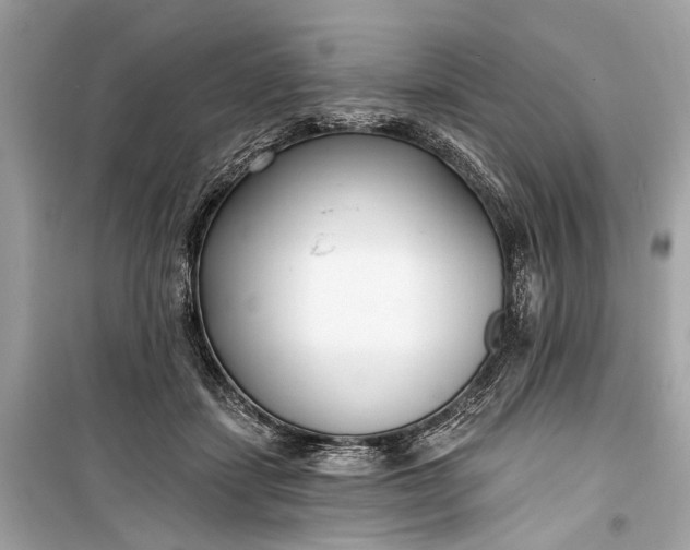 X0000099300459200805161353