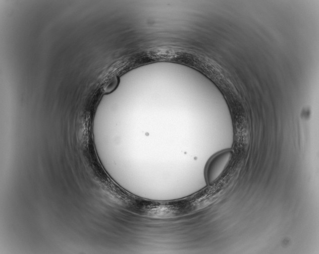 X0000099300460200805161353