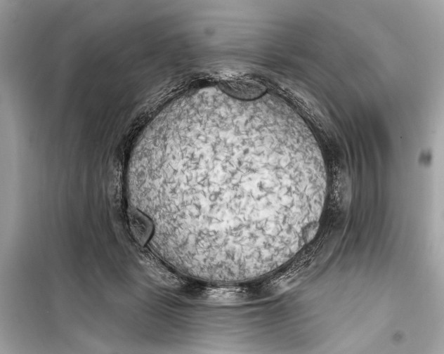 X0000099300461200805161353