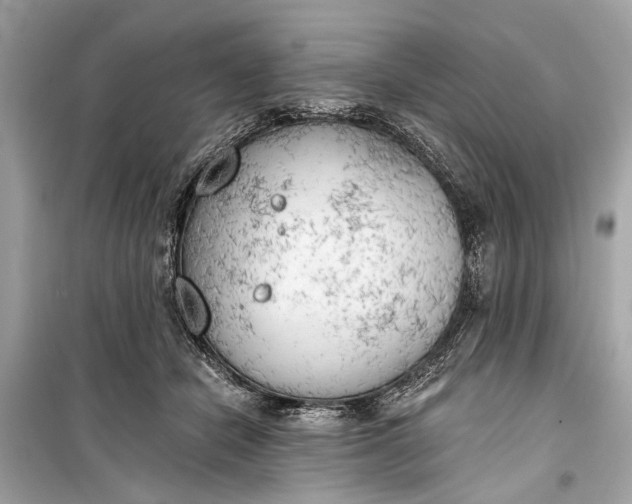 X0000099300462200805161353