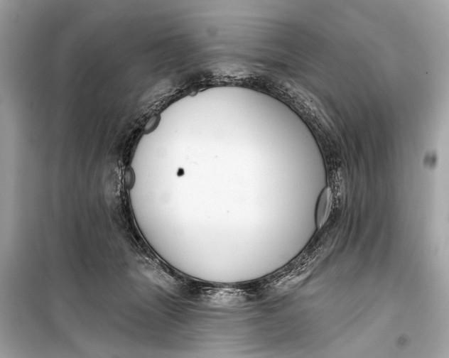 X0000099300463200805161353