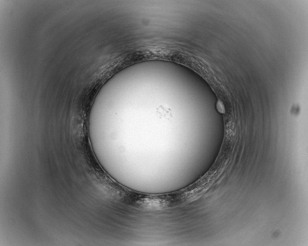 X0000099300464200805161353