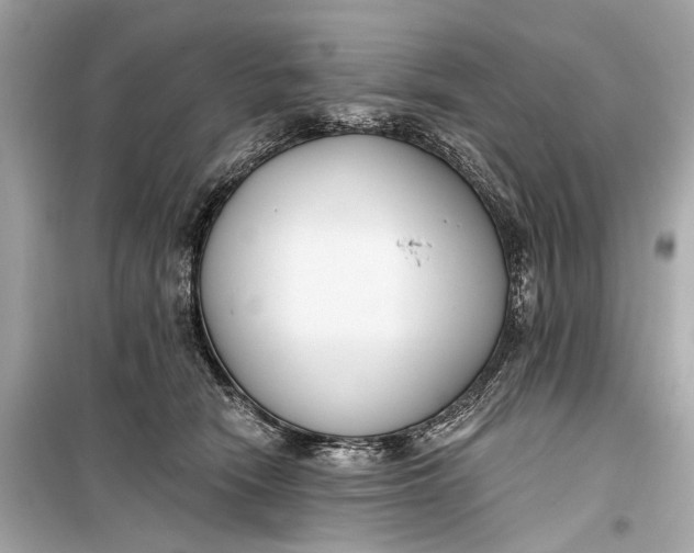 X0000099300466200805161353