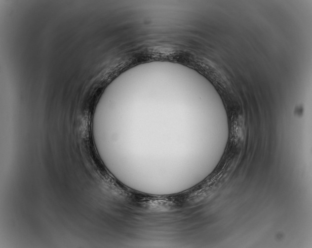 X0000099300468200805161353