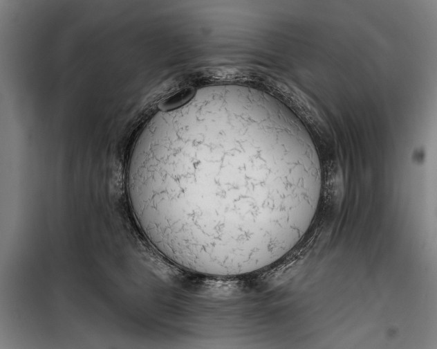 X0000099300469200805161353