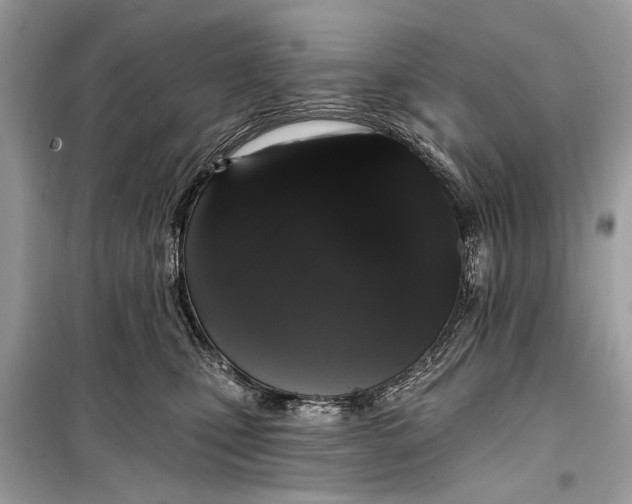 X0000099300471200805161353