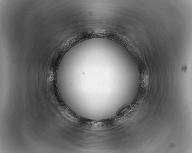 X0000099300472200805161353