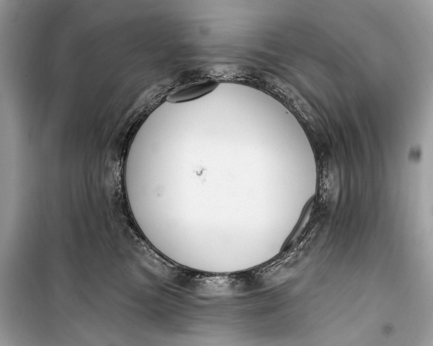 X0000099300473200805161353