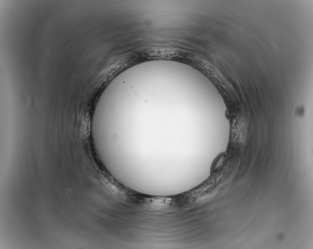 X0000099300474200805161353