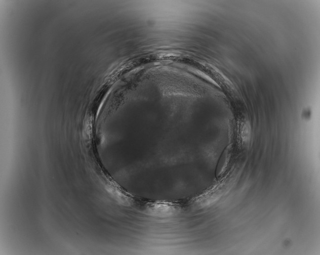 X0000099300475200805161353