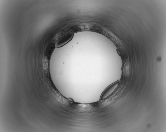 X0000099300477200805161353