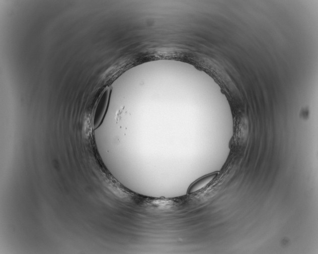 X0000099300478200805161353