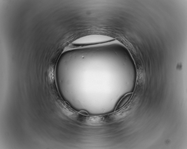 X0000099300479200805161353