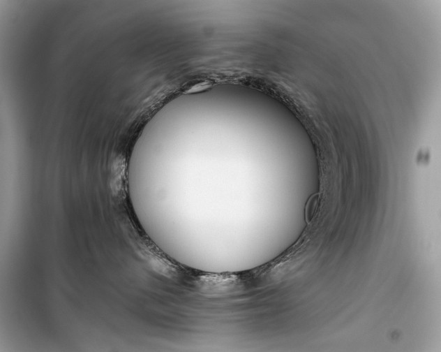 X0000099300480200805161353