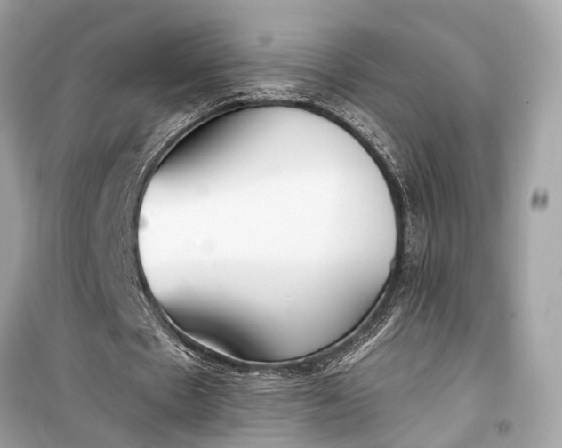 X0000099300481200805161352