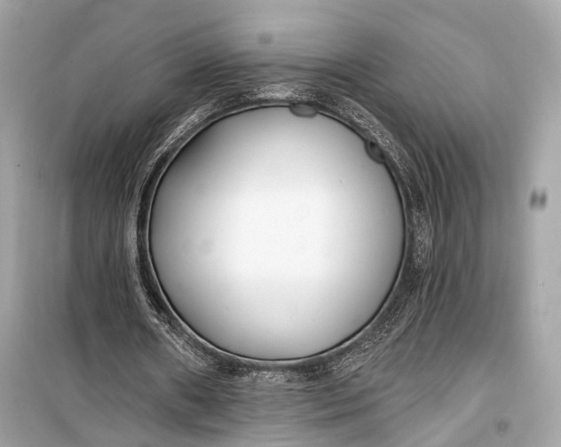 X0000099300482200805161352