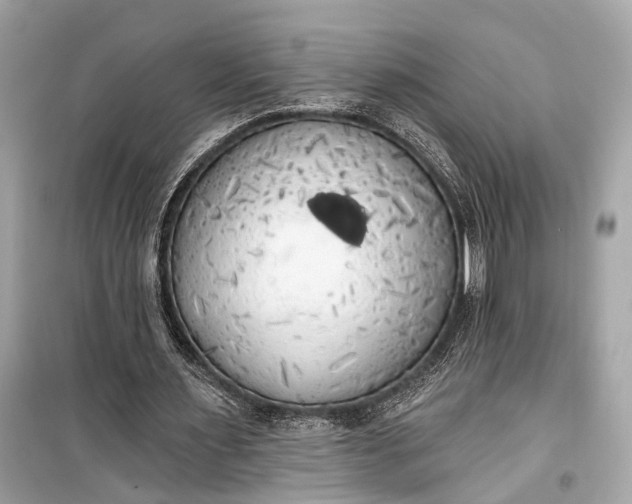 X0000099300483200805161352