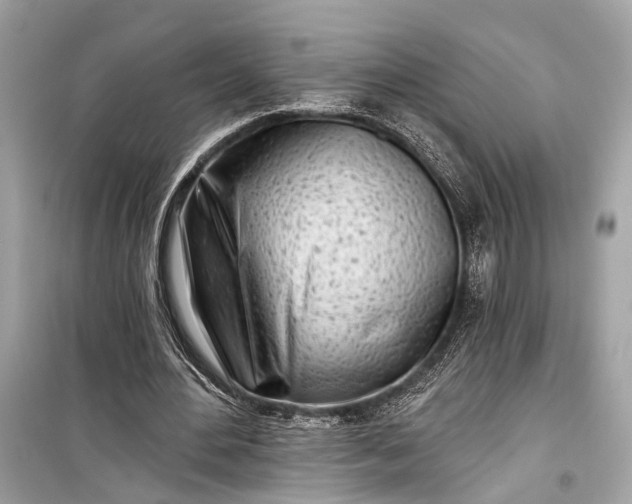 X0000099300484200805161352