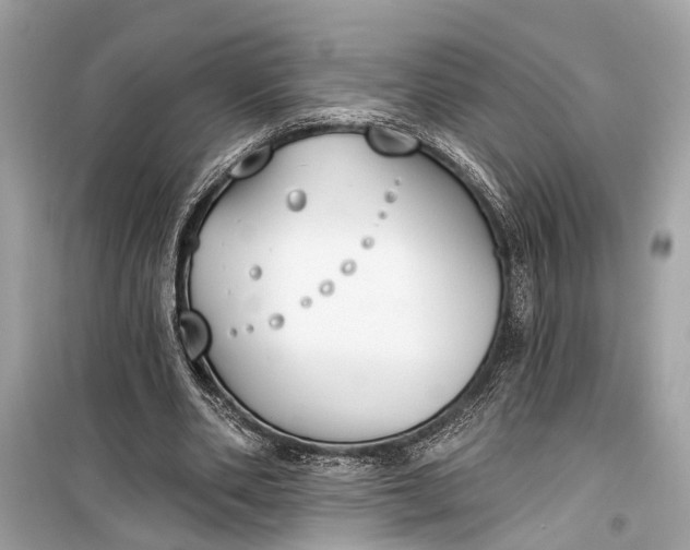 X0000099300486200805161352