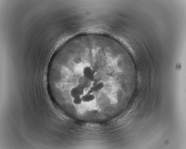 X0000099300487200805161352