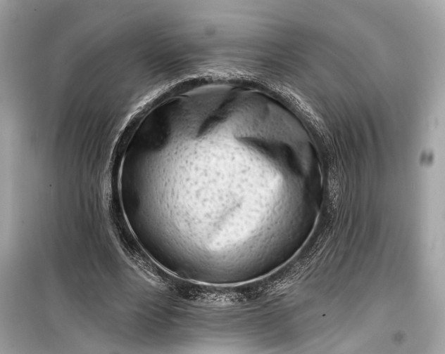 X0000099300488200805161352