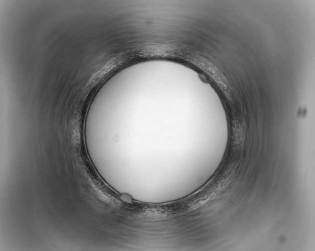 X0000099300489200805161352