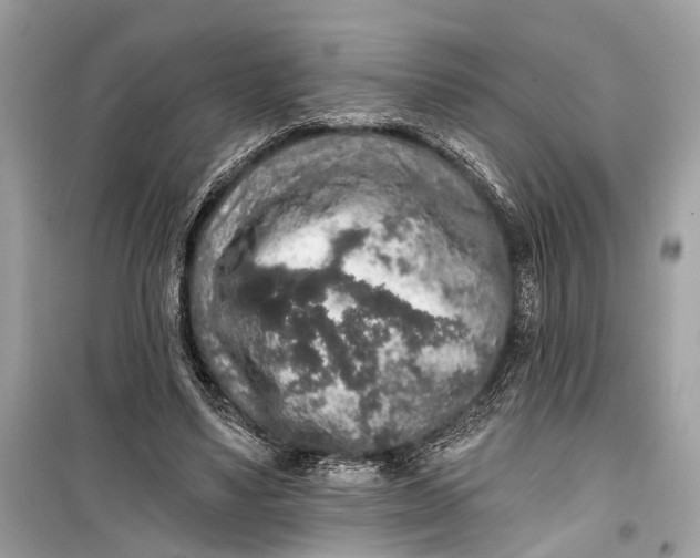 X0000099300491200805161352