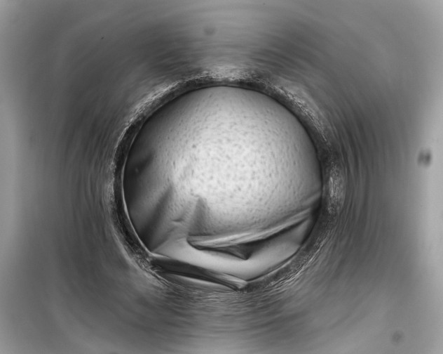 X0000099300492200805161352