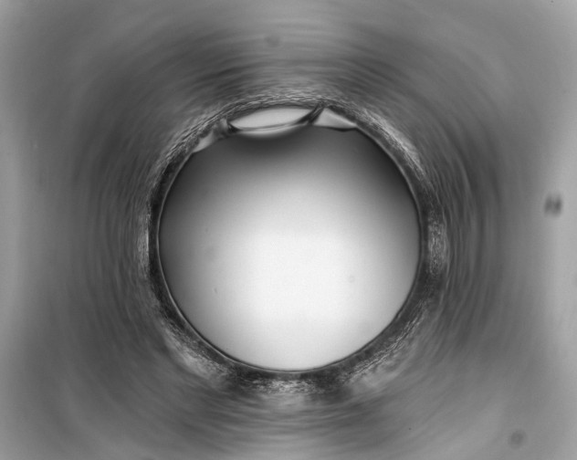 X0000099300493200805161352