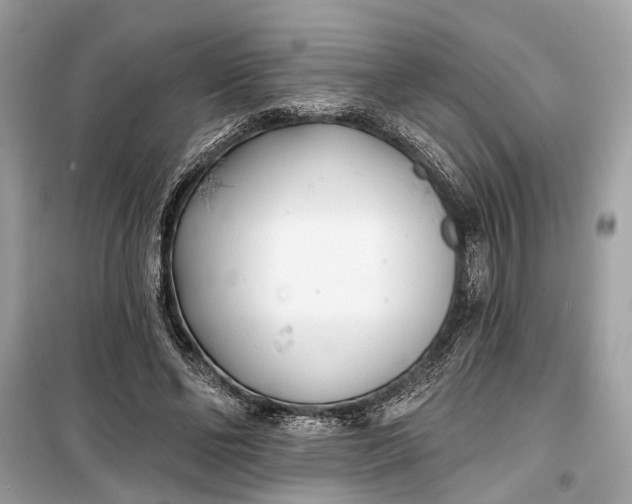 X0000099300494200805161352