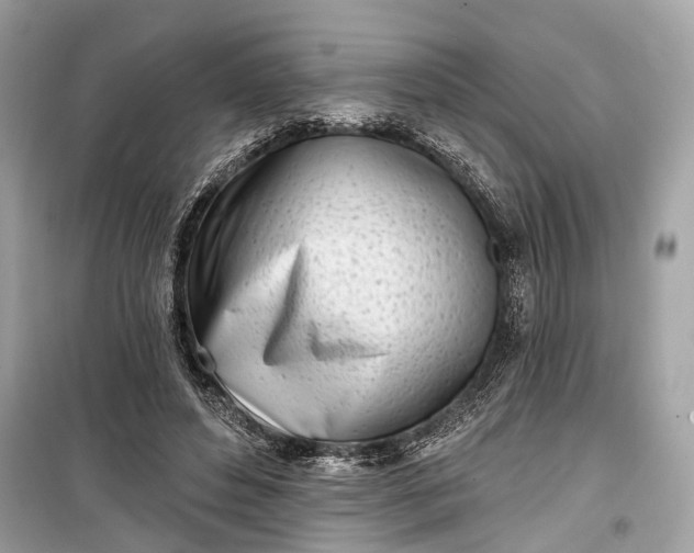 X0000099300496200805161352