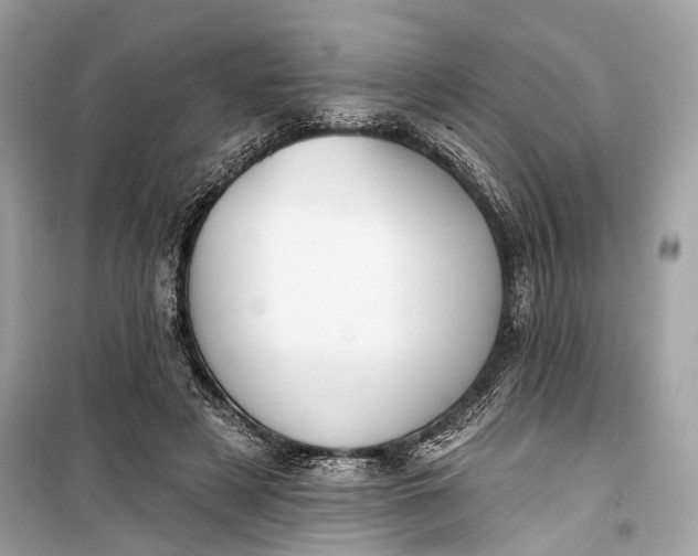 X0000099300497200805161352