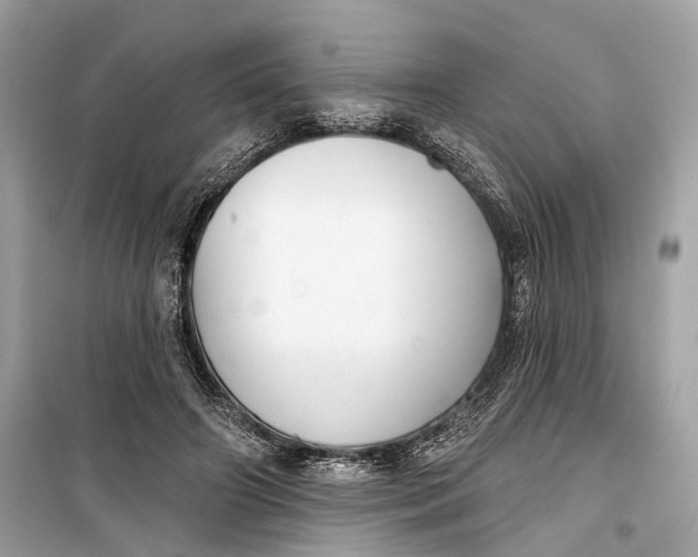 X0000099300498200805161352