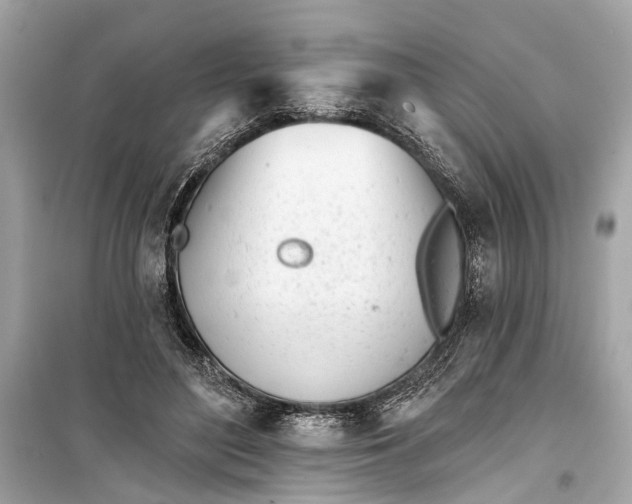 X0000099300500200805161352