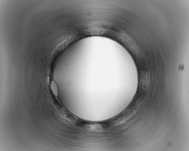 X0000099300501200805161352