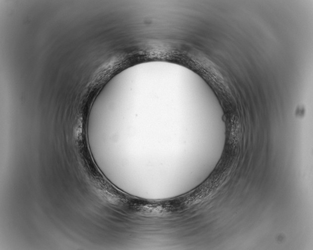 X0000099300502200805161352